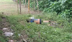 Decapitan a sujeto en Jalpa de Méndez