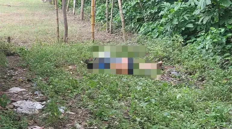 Decapitan a sujeto en Jalpa de Méndez