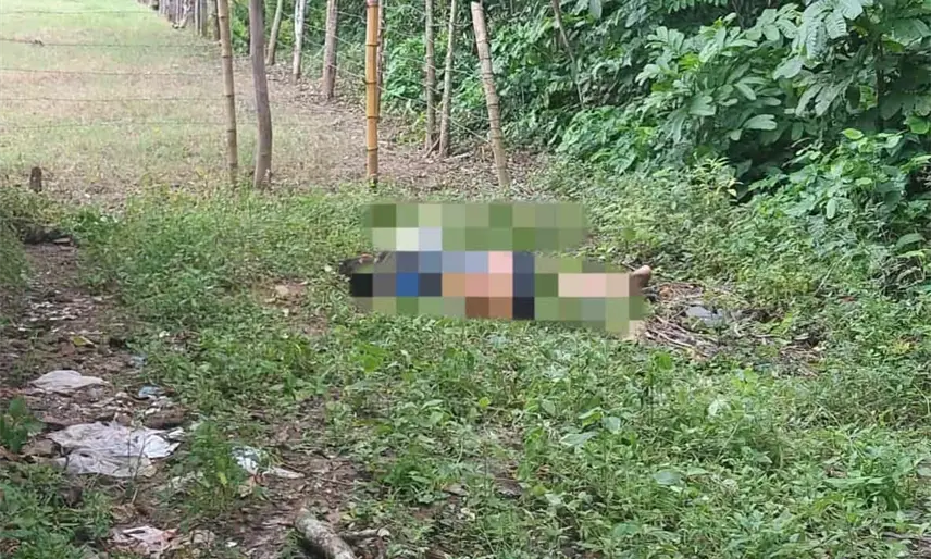 Decapitan a sujeto en Jalpa de Méndez