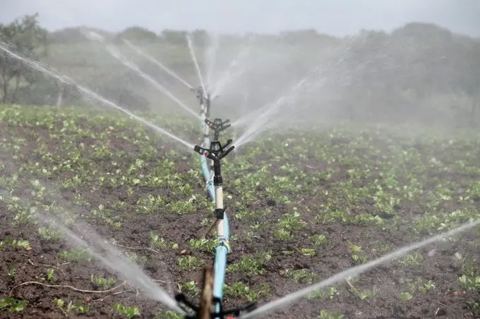 Más de 200 productores agrícolas de Tabasco tienen concesiones de agua vencidas: Conagua