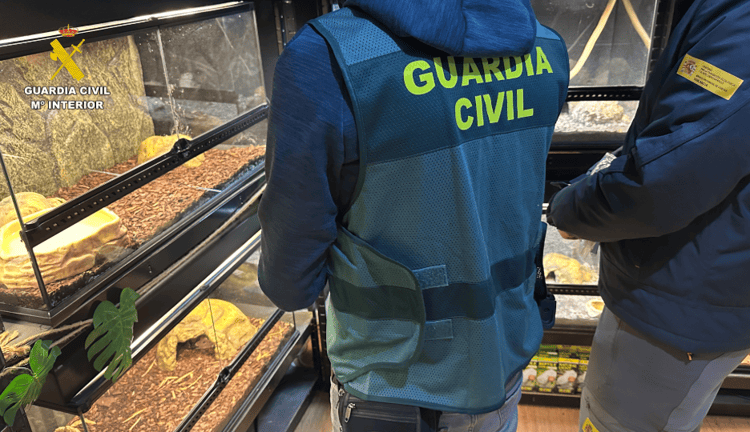 imagen-cuerpo imagen-cuerpo