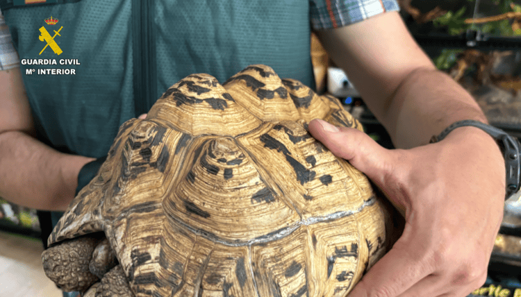 imagen-cuerpo imagen-cuerpo