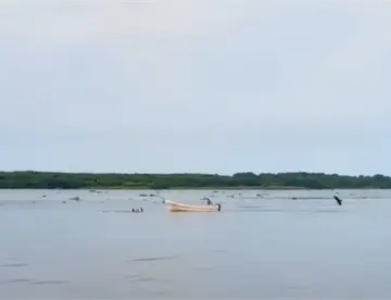Pescadores salvan a pareja de ahogarse en el Río Grijalva en Frotera, Centla