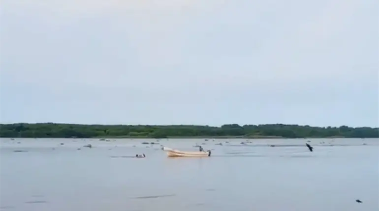 Pescadores salvan a pareja de ahogarse en el Río Grijalva en Frotera, Centla