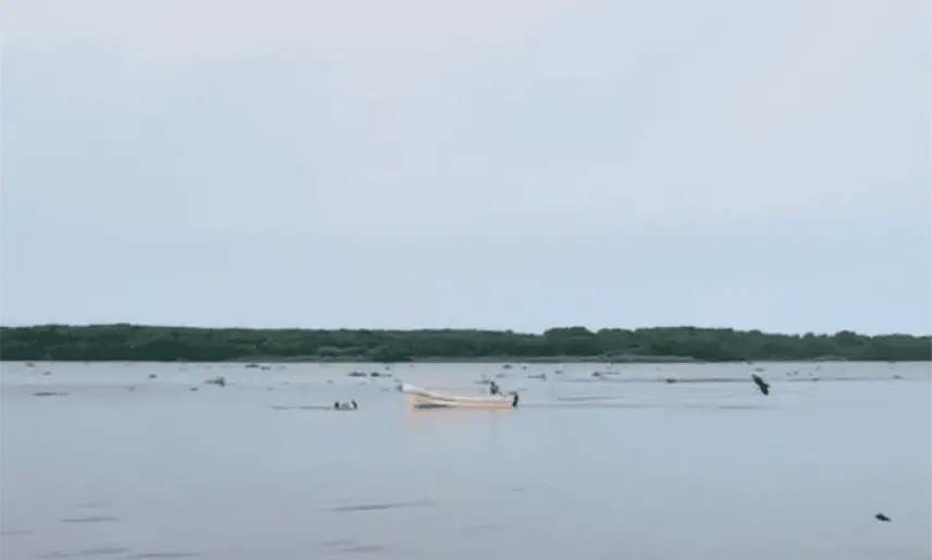 Pescadores salvan a pareja de ahogarse en el Río Grijalva en Frotera, Centla