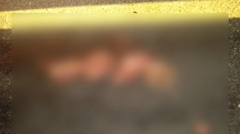 Persona muere tras ser atropellada en Cárdenas