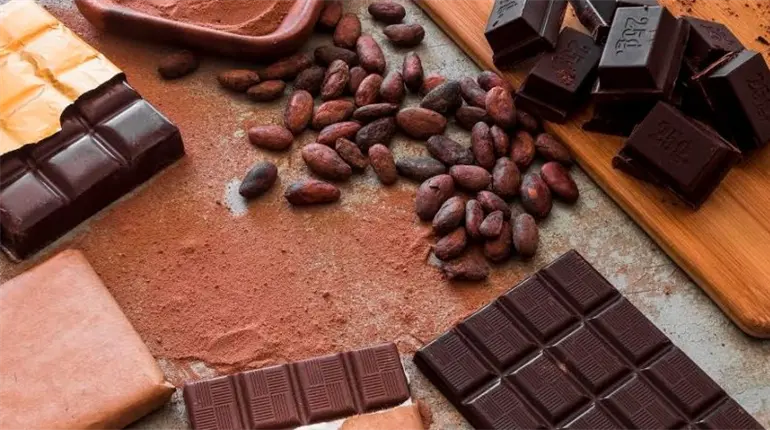 Recuerda Sheinbaum estrategia para impulsar el chocolate tabasqueño con planta procesadora