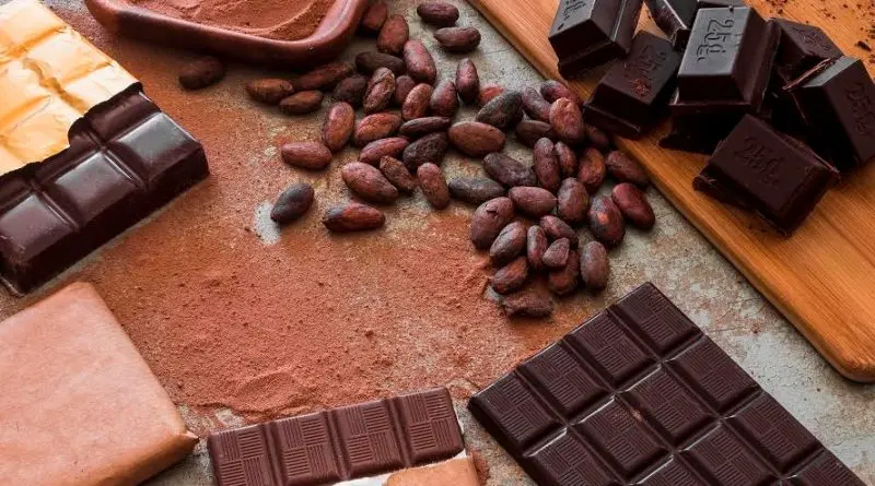 Recuerda Sheinbaum estrategia para impulsar el chocolate tabasqueño con planta procesadora