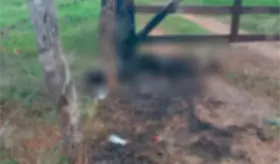 Localizan cuerpo calcinado en Jalapa