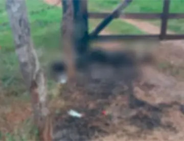 Localizan cuerpo calcinado en Jalapa