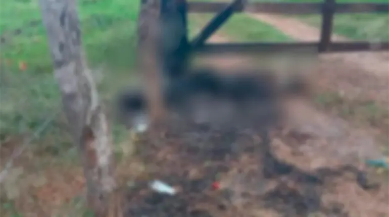 Localizan cuerpo calcinado en el Poblado Francisco J. Santamaría de Jalapa