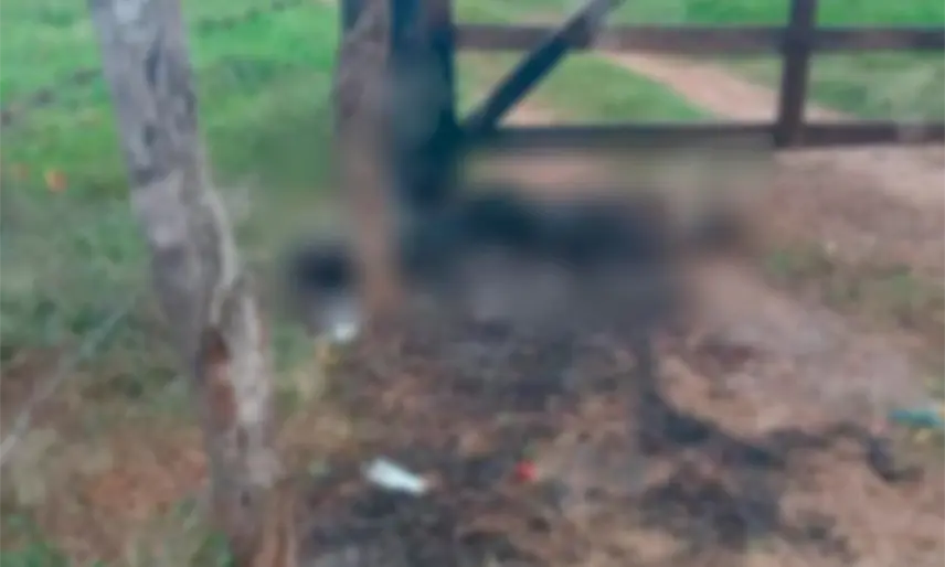 Localizan cuerpo calcinado en el Poblado Francisco J. Santamaría de Jalapa