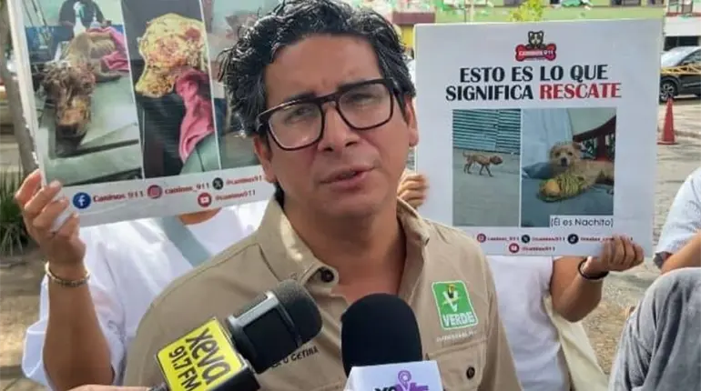 Reforestaci&oacute;n, albergues para animales y frenar uso de animales para entretenimiento, prioridades del PVEM para 2026