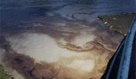 Se registra nuevo derrame de hidrocarburo en el Río Cazones al norte de Veracruz