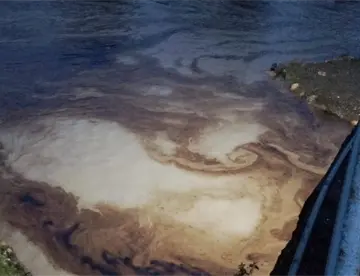 Se registra nuevo derrame de hidrocarburo en el Río Cazones al norte de Veracruz