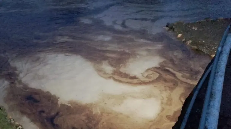 Se registra nuevo derrame de hidrocarburo en el Río Cazones al norte de Veracruz