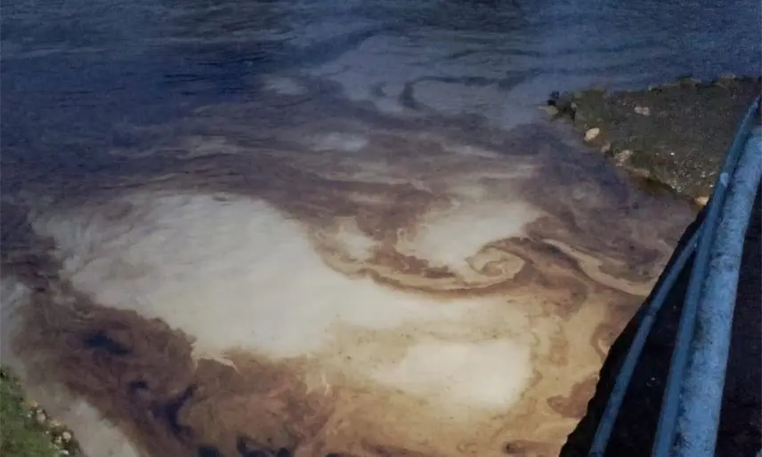 Se registra nuevo derrame de hidrocarburo en el Río Cazones al norte de Veracruz