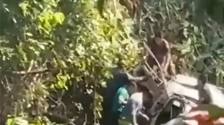 Automovilista termina fuera de la carretera en Boquerón; habría fallecido