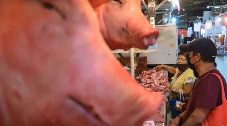 Suspende México importaciones de carne de cerdo de España por peste porcina africana