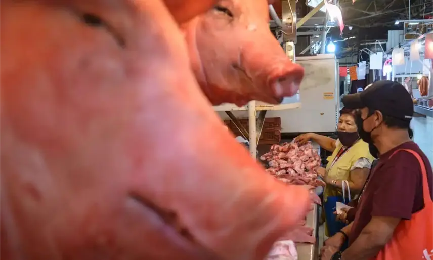 Suspende México importaciones de carne de cerdo de España por peste porcina africana