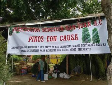 Venden ‘Pinos con causa’ en el velódromo de Villahermosa