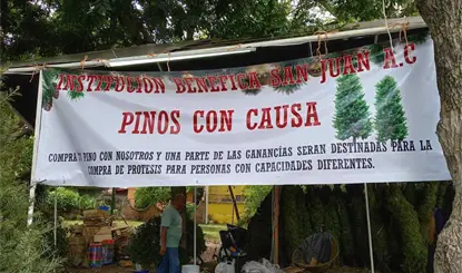 Venden ´Pinos con causa´ en el velódromo de Villahermosa