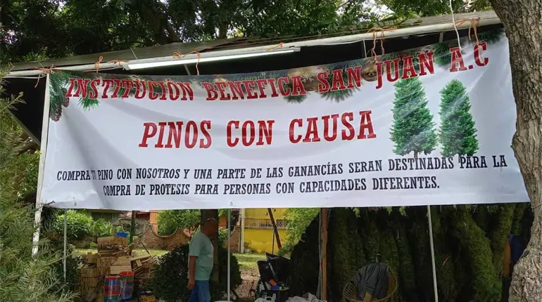 Venden ´Pinos con causa´ en el velódromo de Villahermosa