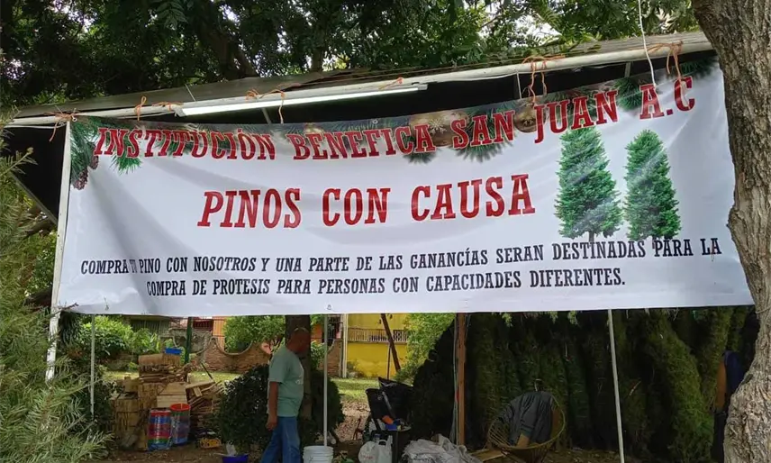 Venden ´Pinos con causa´ en el velódromo de Villahermosa