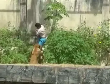 Muere tras invadir recinto de leona en zoológico de Brasil