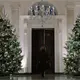Adorna Melania La Casa Blanca con retratos de Trump y hasta 51 árboles de Navidad iluminados