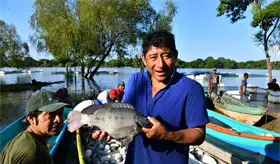 Productores de Jonuta ya vendieron 95% de su primera cosecha de pescado: Subsecretaría de pesca