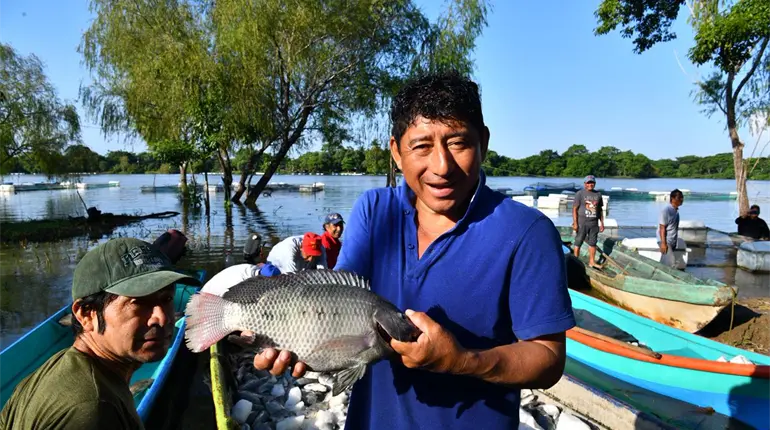 Productores de Jonuta ya vendieron 95% de su primera cosecha de pescado: Subsecretaría de pesca