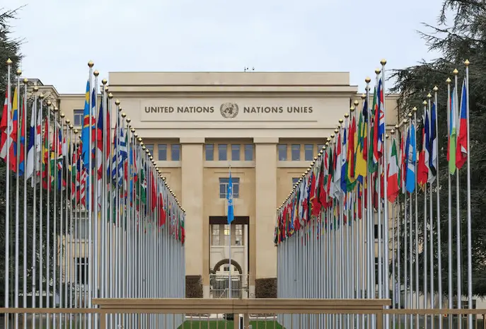 ONU alerta a México por daños al ambiente con megaproyectos en el Golfo de California