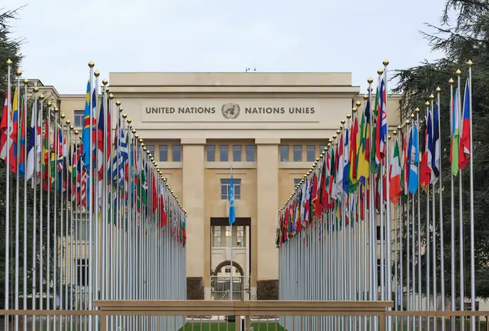 ONU alerta a México por daños al ambiente con megaproyectos en el Golfo de California