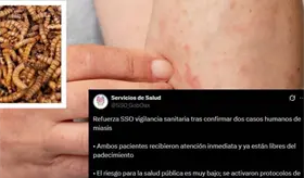 Confirman primeros casos humanos de gusano barrenador en Oaxaca