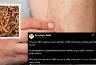 Confirman primeros casos humanos de gusano barrenador en Oaxaca