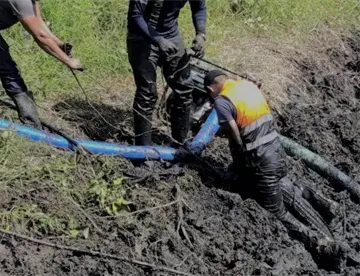 Retiran de pantano a cocodrilo por amenaza a niños en Zapata