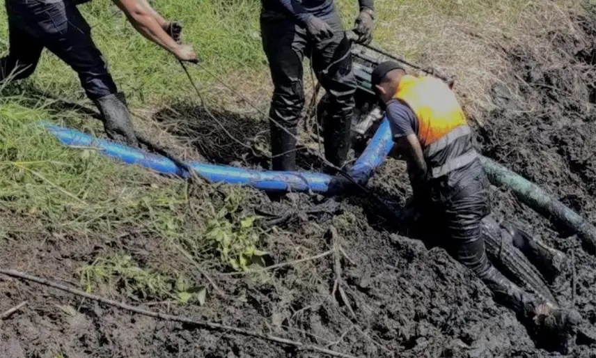 Retiran de pantano a cocodrilo por amenaza a niños en Zapata