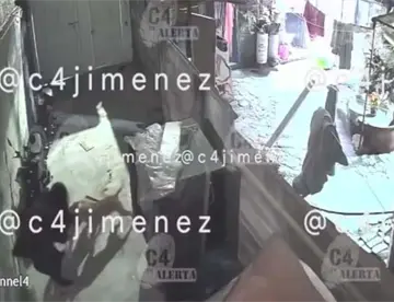 Perros pitbull atacan a mujer en alcaldía Tláhuac de la CDMX