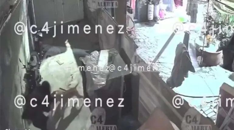 Perros pitbull atacan a mujer en alcald&iacute;a Tl&aacute;huac de la CDMX