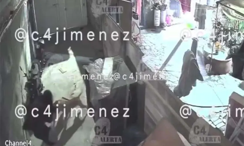 Perros pitbull atacan a mujer en alcaldía Tláhuac de la CDMX