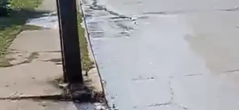 Piden solución a fuga de agua negras en Infonavit Parrilla