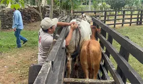Jalpa será el primer municipio de Tabasco en completar barrido sanitario: Sedap