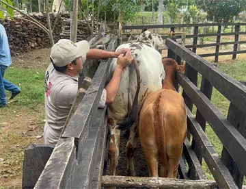 Jalpa será el primer municipio de Tabasco en completar barrido sanitario: Sedap