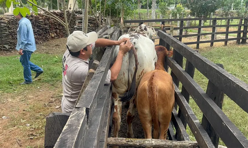 Jalpa será el primer municipio de Tabasco en completar barrido sanitario: Sedap