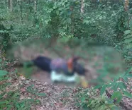 Sin vida y con huellas de tortura lo hallan en rancho de Huimanguillo