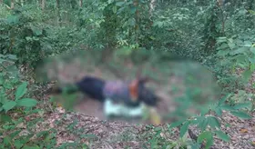 Sin vida y con huellas de tortura lo hallan en rancho de Huimanguillo