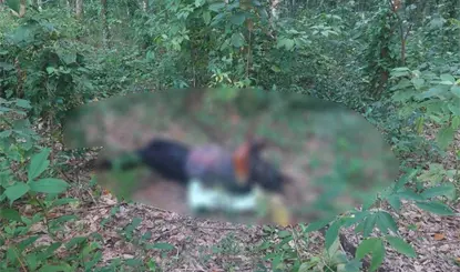 Sin vida y con huellas de tortura lo hallan en rancho de Huimanguillo