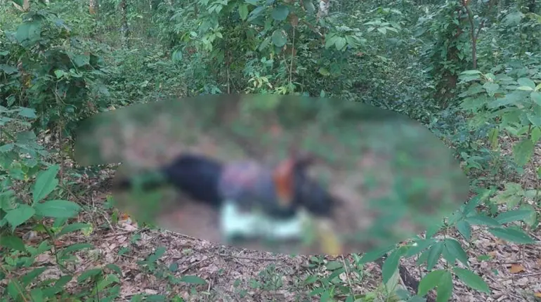 Sin vida y con huellas de tortura lo hallan en rancho de Huimanguillo