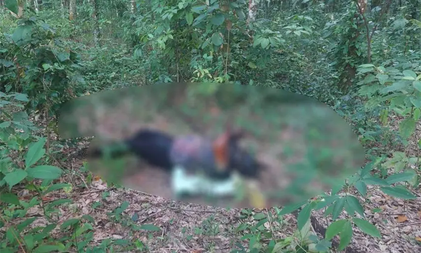 Sin vida y con huellas de tortura lo hallan en rancho de Huimanguillo